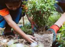 Sustainable Practices in Early Childhood Education